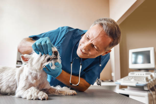 Best Tooth Infection Emergency Dentist  in Columbus, TX